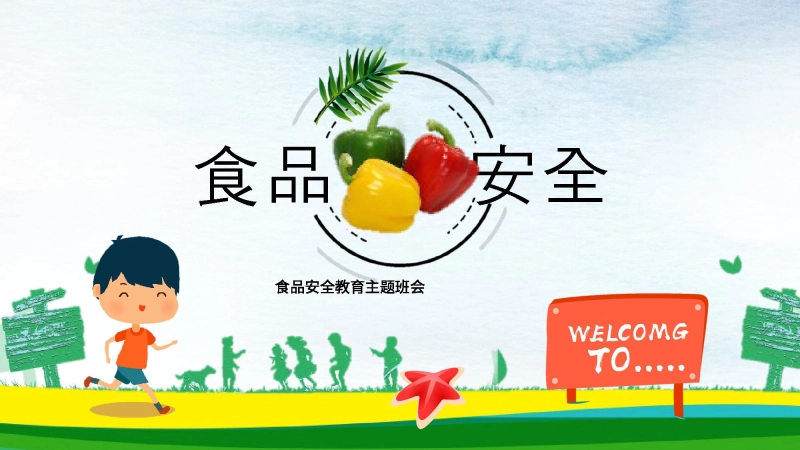 【148069】小学食品安全教育班会