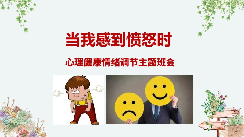【292370】【通用】【情绪管理】中学生主题班会：当我感到愤怒时