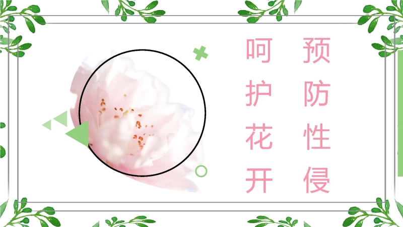 【301603】预防性侵主题班会：呵护花开，预防性侵【初中】